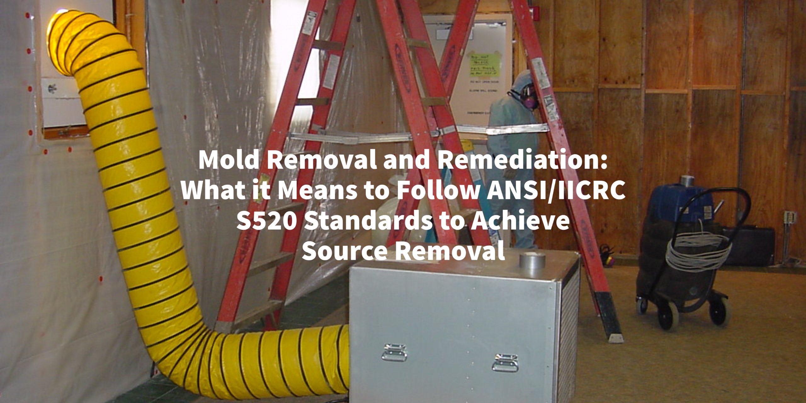 Mold Removal And Remediation: What It Means To Follow ANSI/IICRC S520 ...